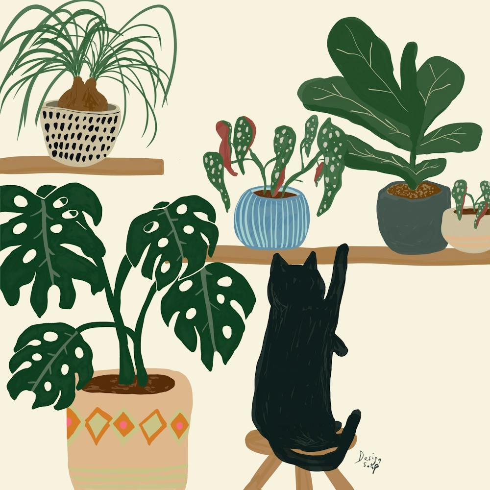 Indoor Jungle