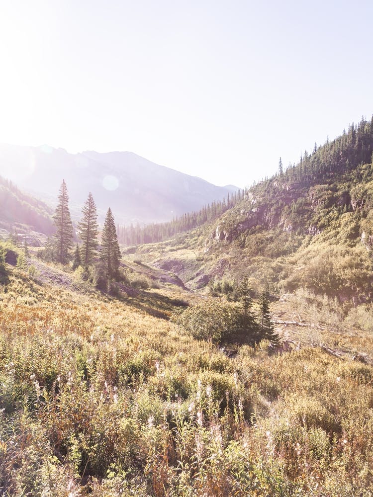 Misty Mountain Morning