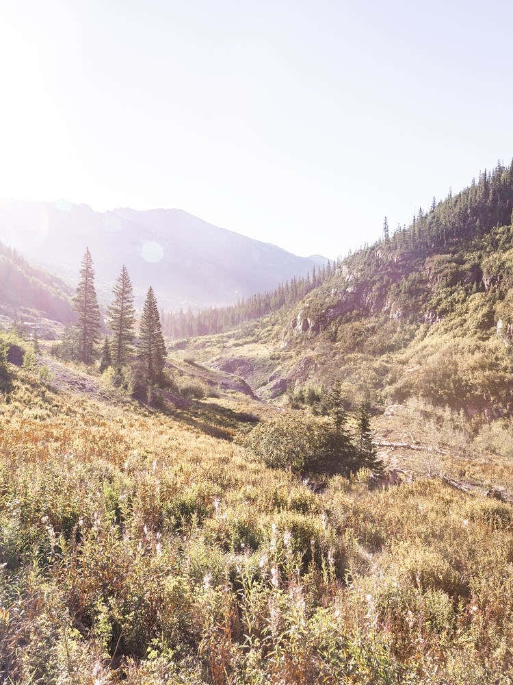 Misty Mountain Morning