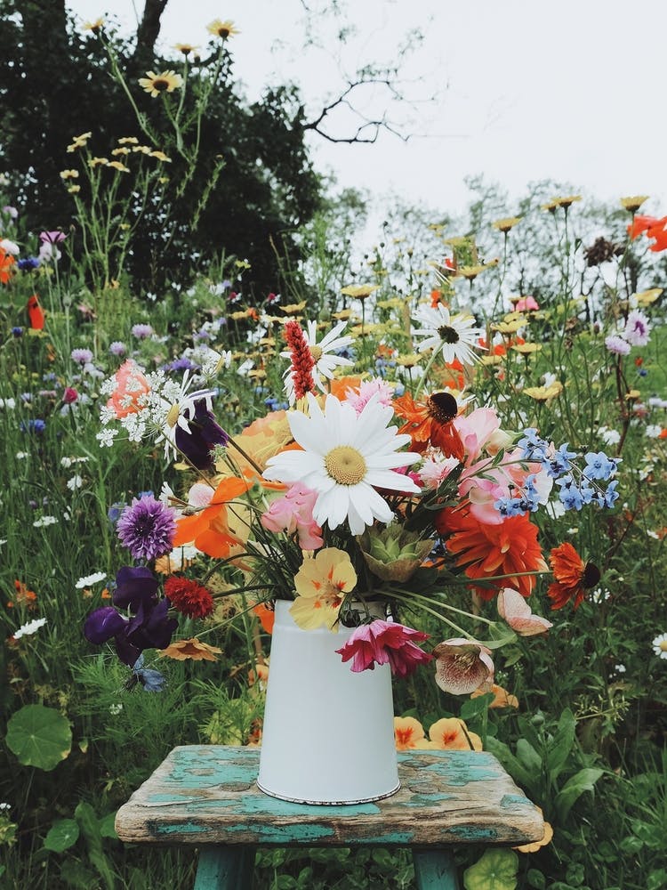 Happiness In The Garden