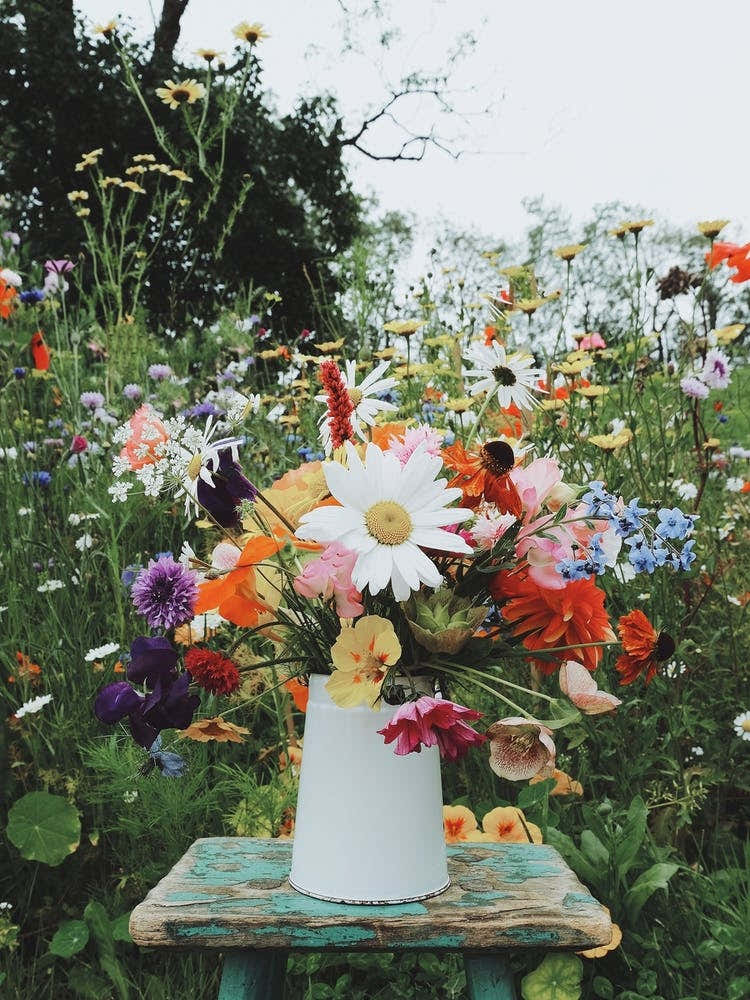 Happiness In The Garden