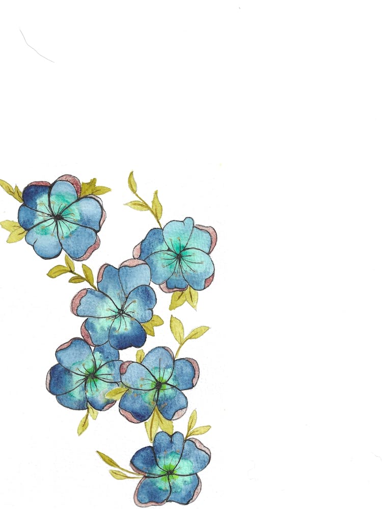 Watercolor Flowers