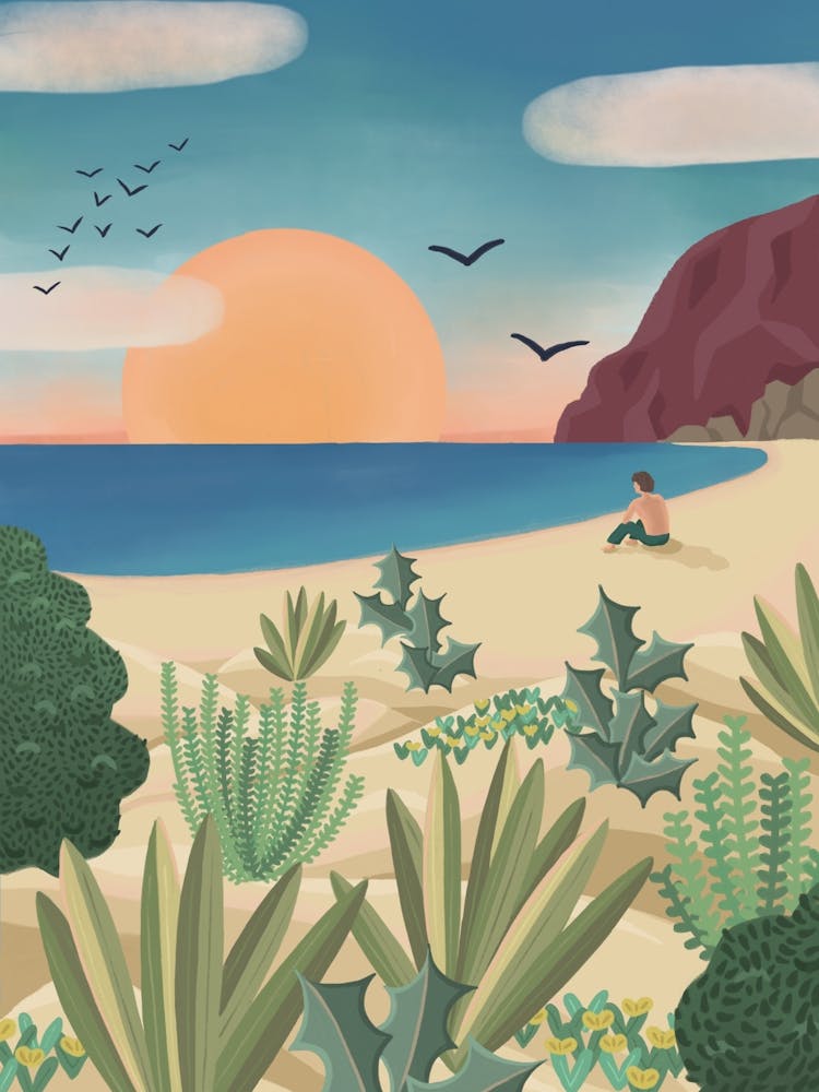 Cactus Beach in Sunrise