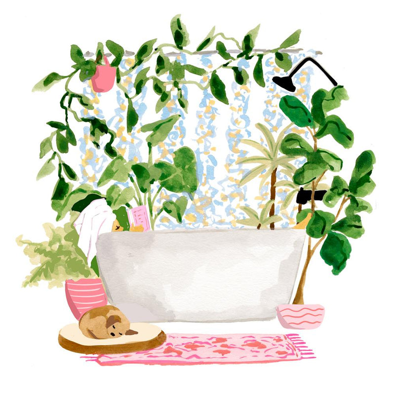 Plant Bath