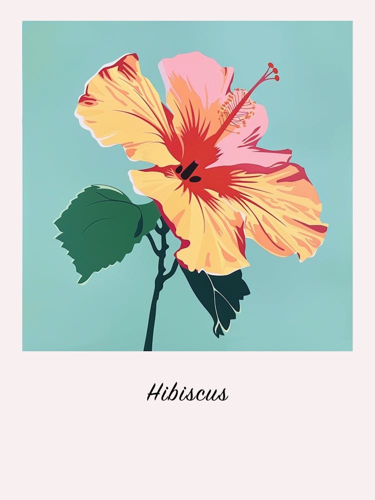 Hibiscus 4 Square Flower Illustration Poster