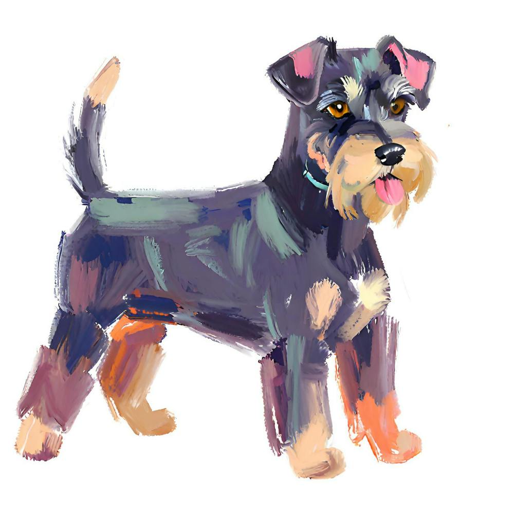 Miniature Schnauzer 01
