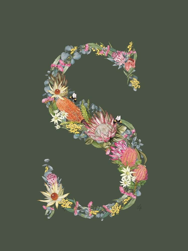 S Olive Alphabet Letter