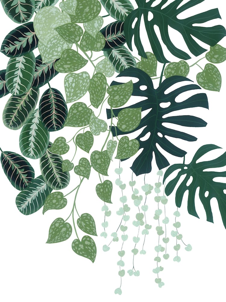 Urban Jungle No1 Botanical Painting
