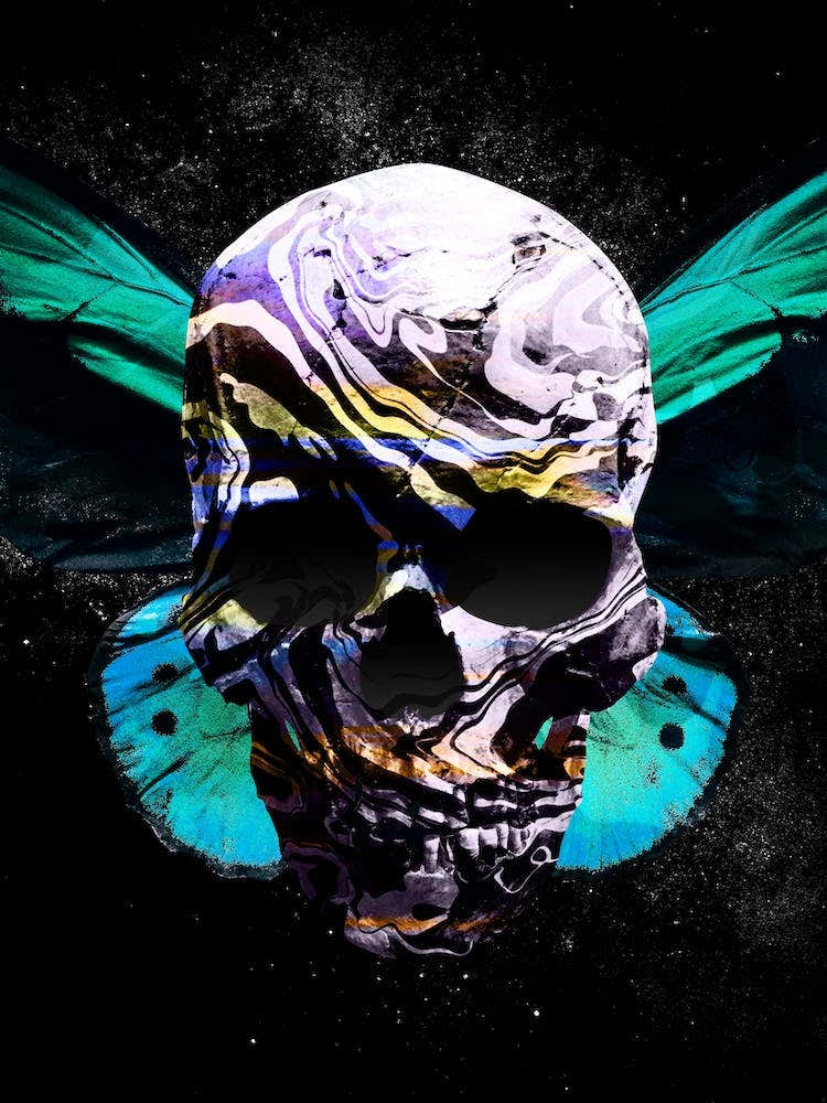 Skull 2 Displate
