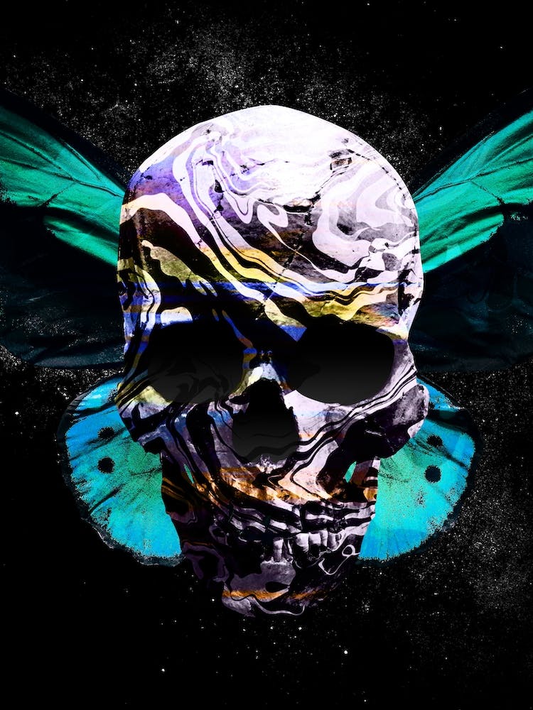 Skull 2 Displate