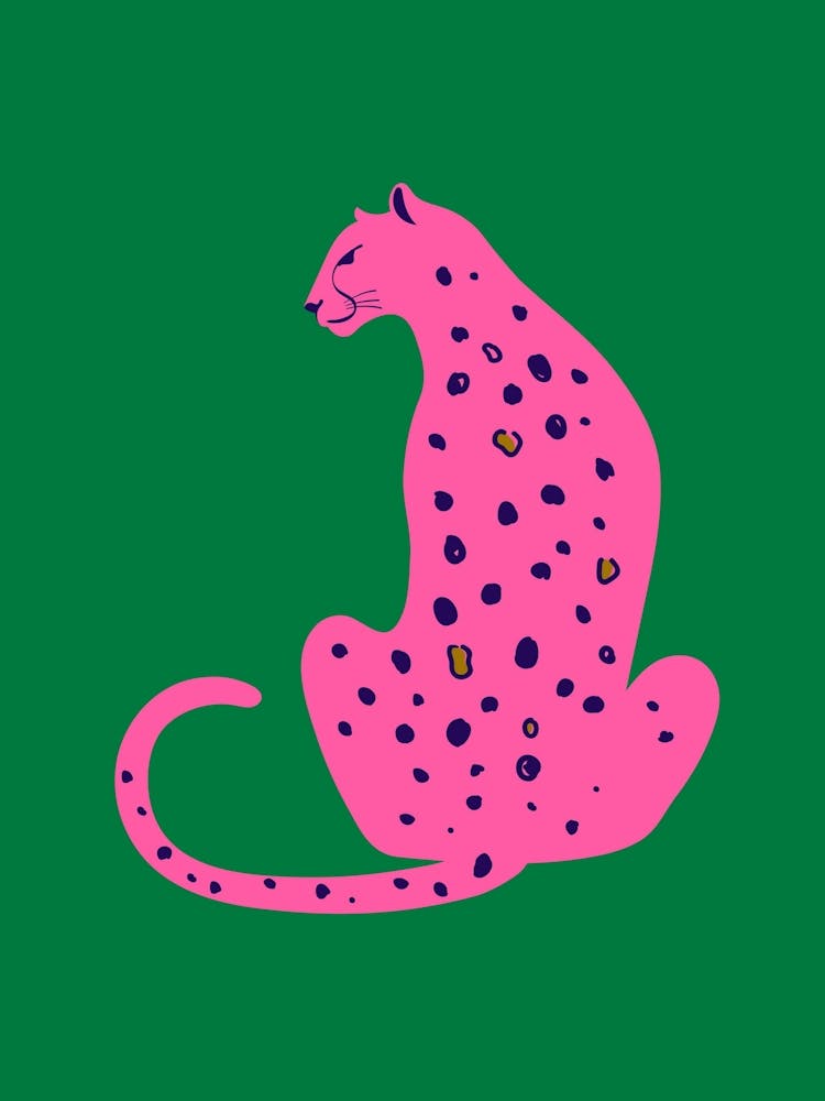 Cheetah 8