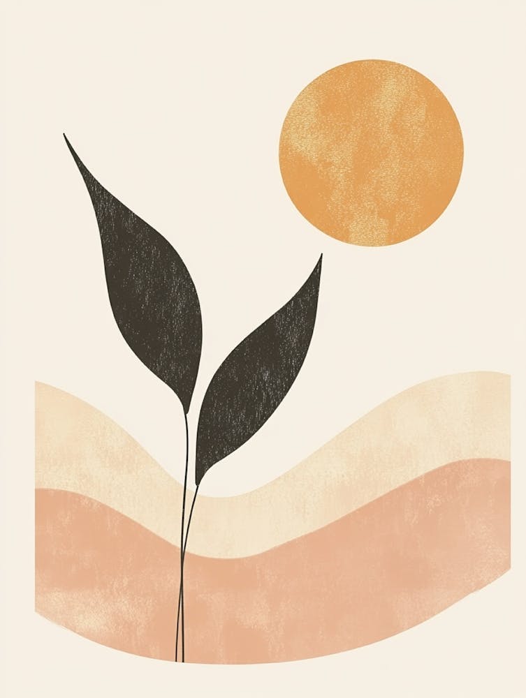 Sun And Plant