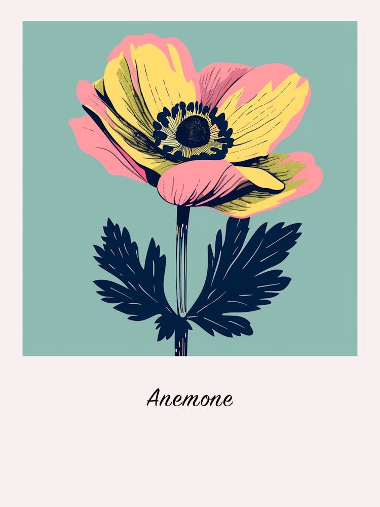 Affiche d'illustration florale carrée Anémone