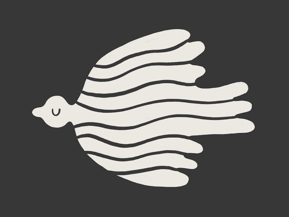 Flying Solo