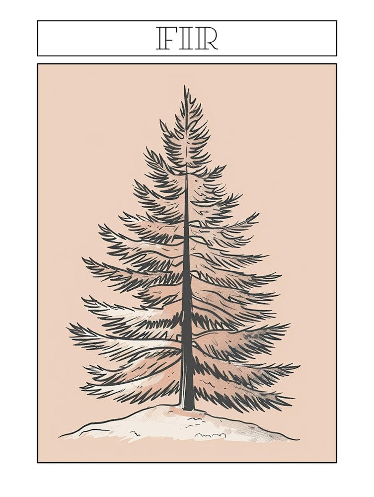 Fir Tree Minimalistic Drawing 4 Poster