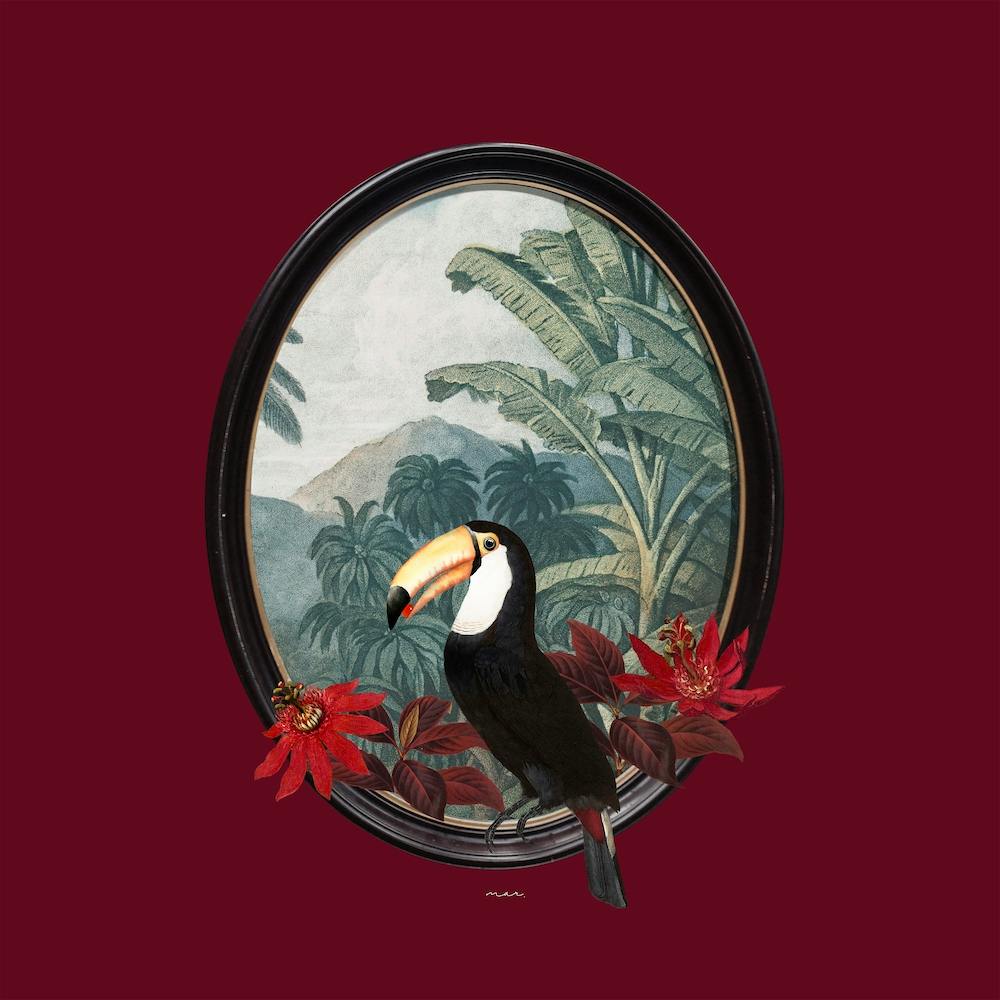 The Toucan Portal Square