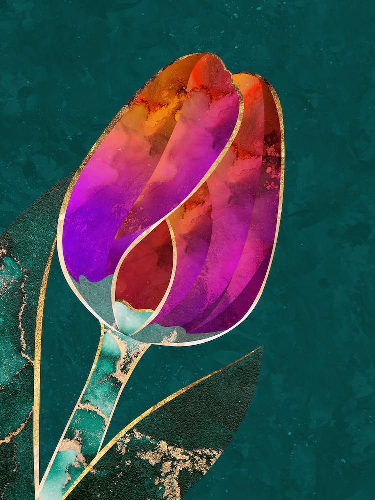 Tulip
