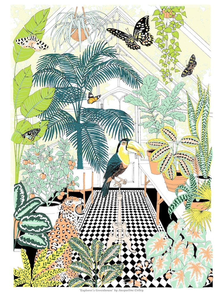 Explorers Greenhouse