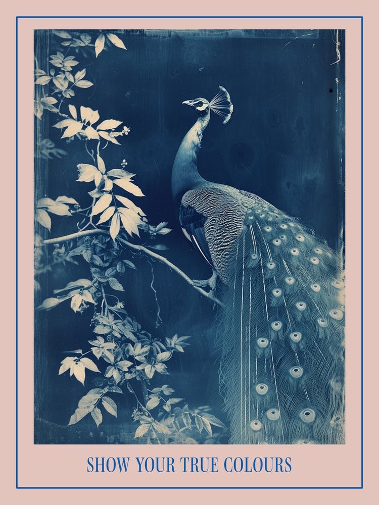 Peacock In The Leaves Cyanotype Inspired 3 Poster