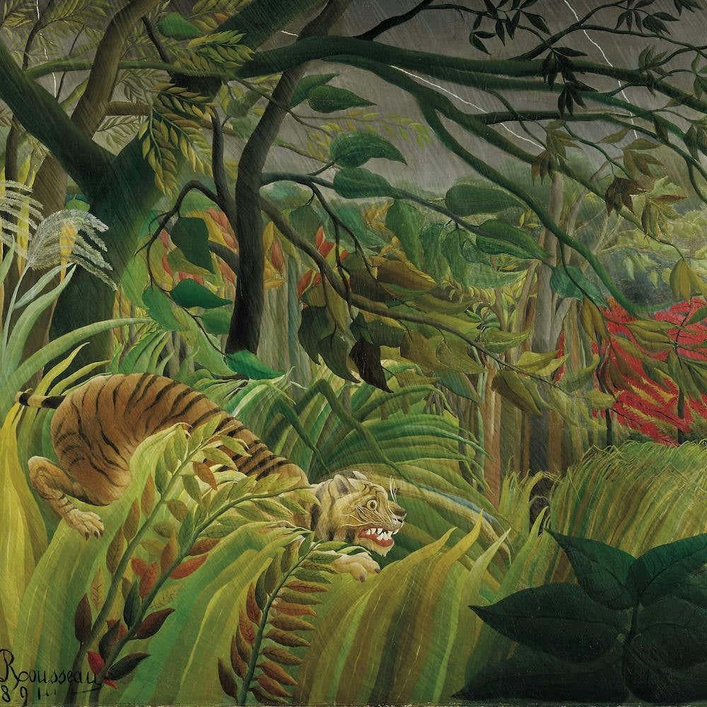 Surprised, Henri Rousseau