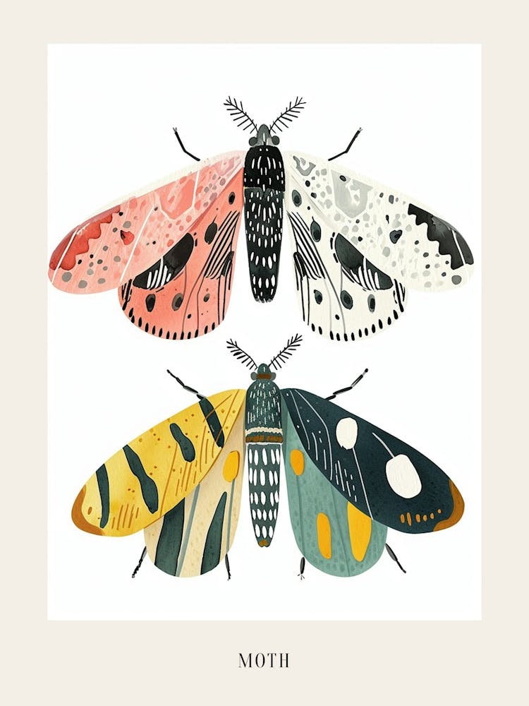 Farbenfrohe Insektenillustration Motte 32 Poster