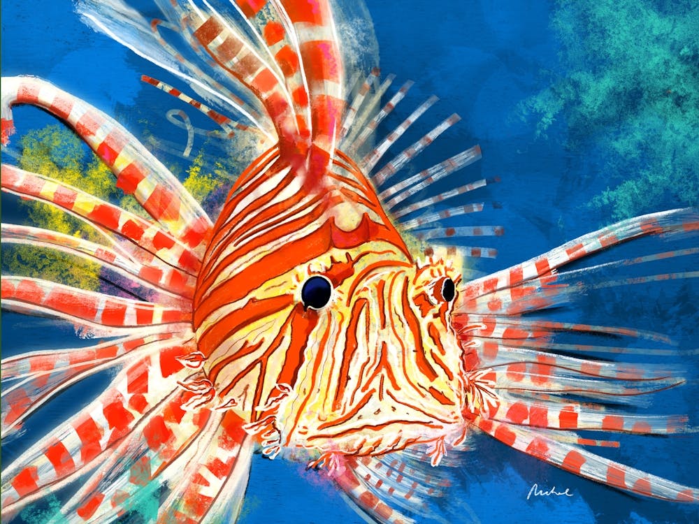 Lion Fish Sea Creatures