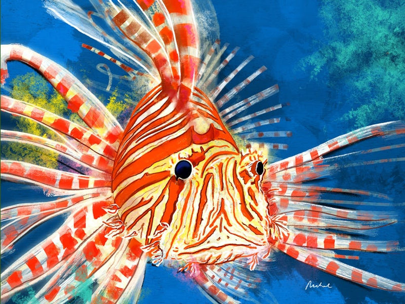 Lion Fish Sea Creatures
