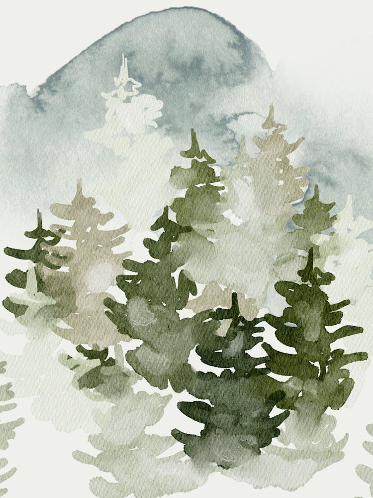 Watercolor Of Pine Trees