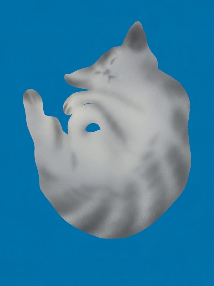 Cat Sleeping On A Blue Background