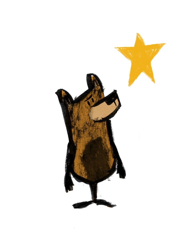 Bear & Star