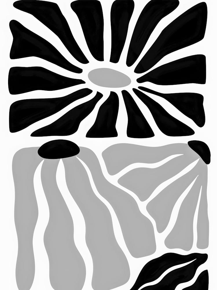 Black And White Flower 65