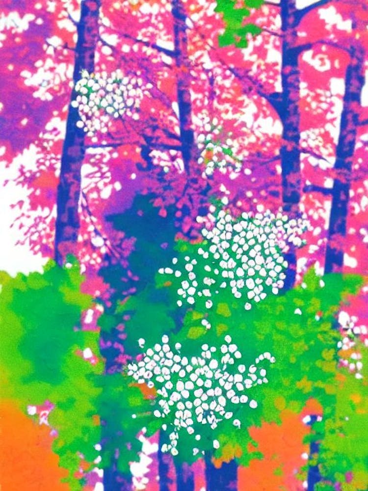 Whitecurrant Risograph Retro Poster Fruit