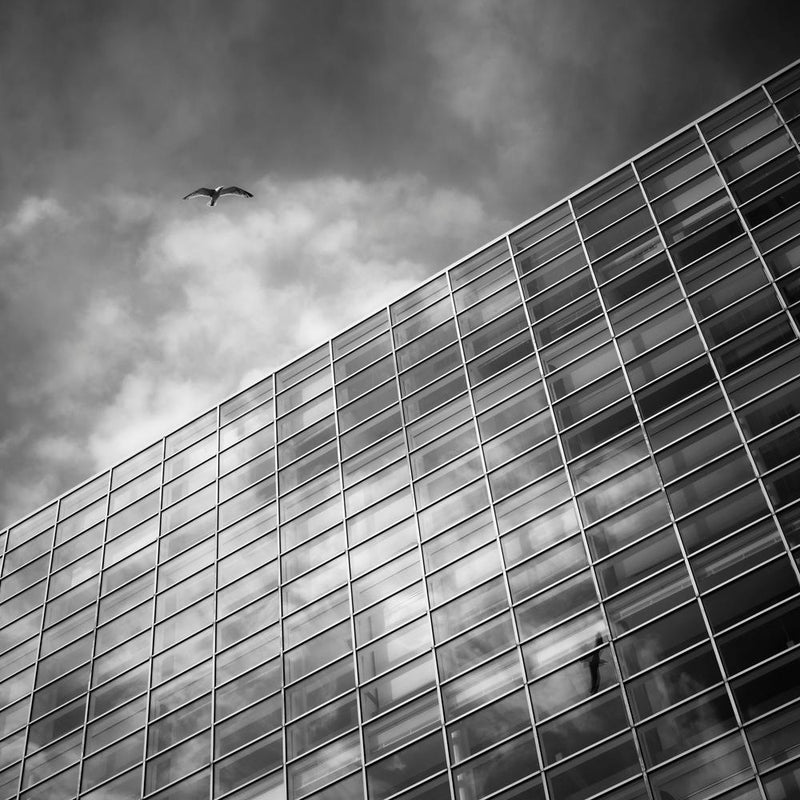 Soar Square