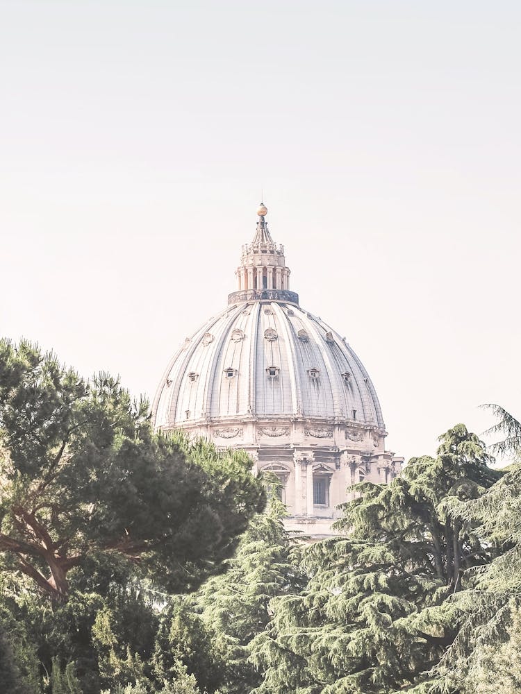 Rome, Italy I St. Peter’s Basilica duomo dome framed by Mediterranean nature pines with roman architecture in a pastel aesthetic summer photography with soft light and a la dolce vita feel