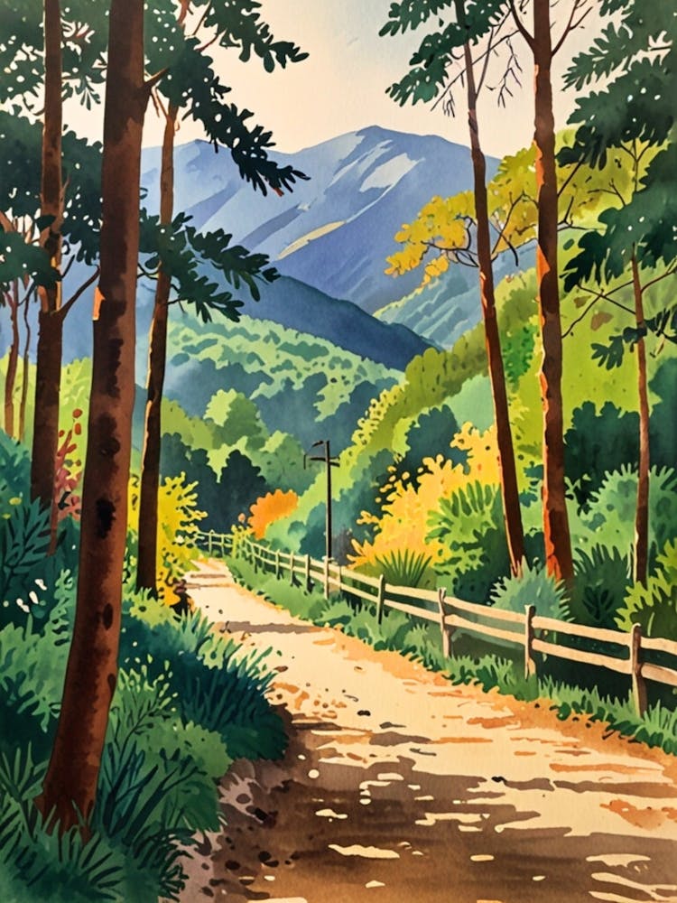 Road To The Mountains