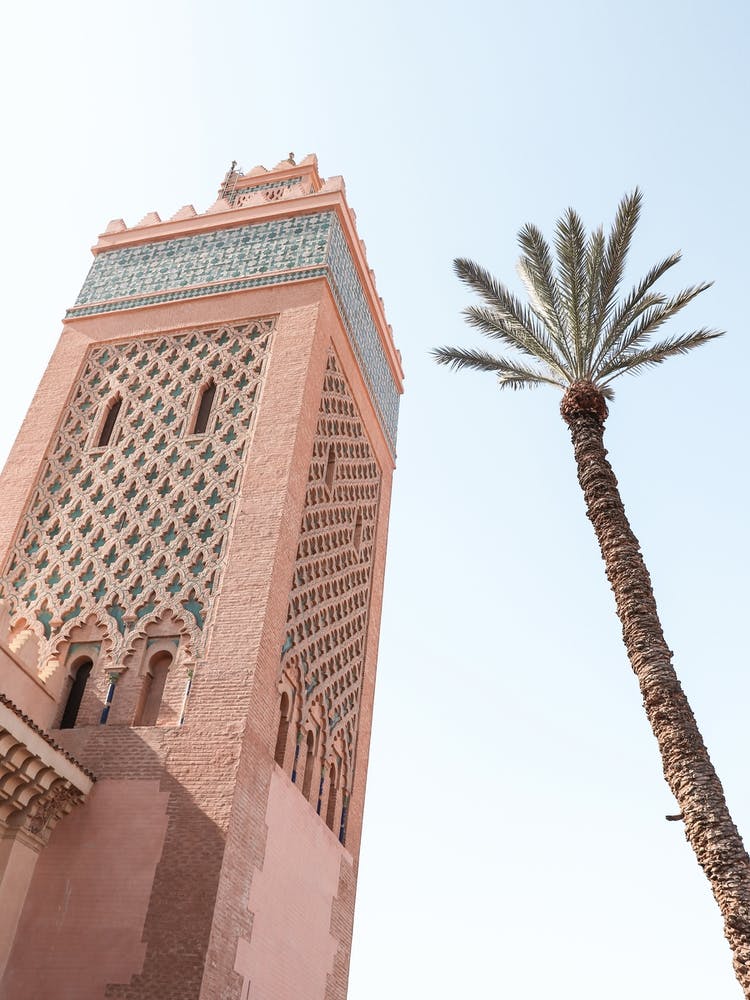 Pink Marrakech View