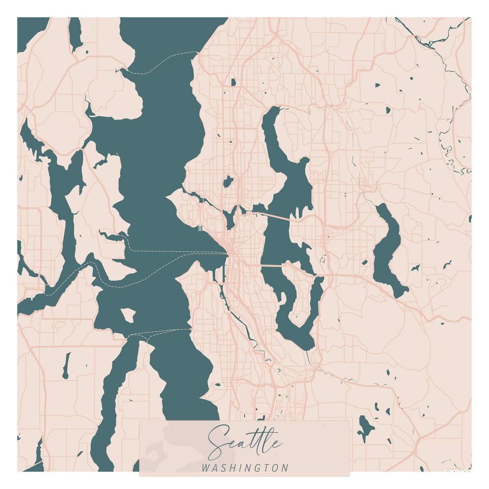 Seattle Washington Pink and Blue Cute Script Street Map