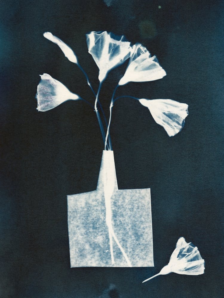 Magic In The Ordinary 8