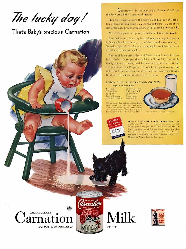 Lucky Dog and Sad Baby, Carnation Milk, Funny Vintage Advertising Poster