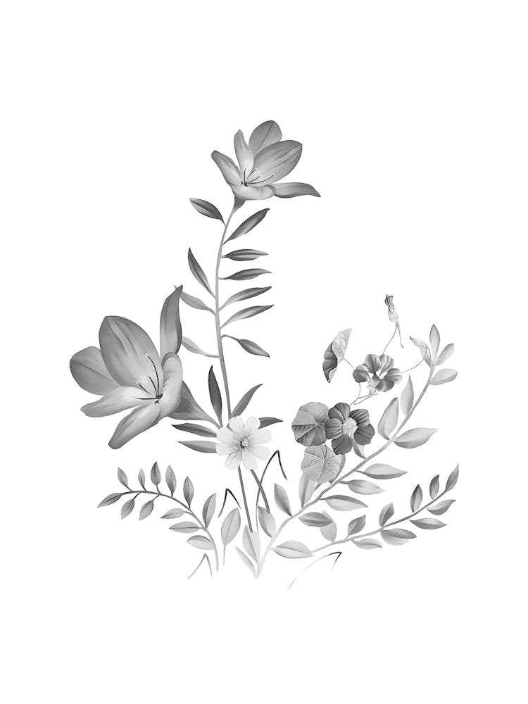 Black And White Flowers 12