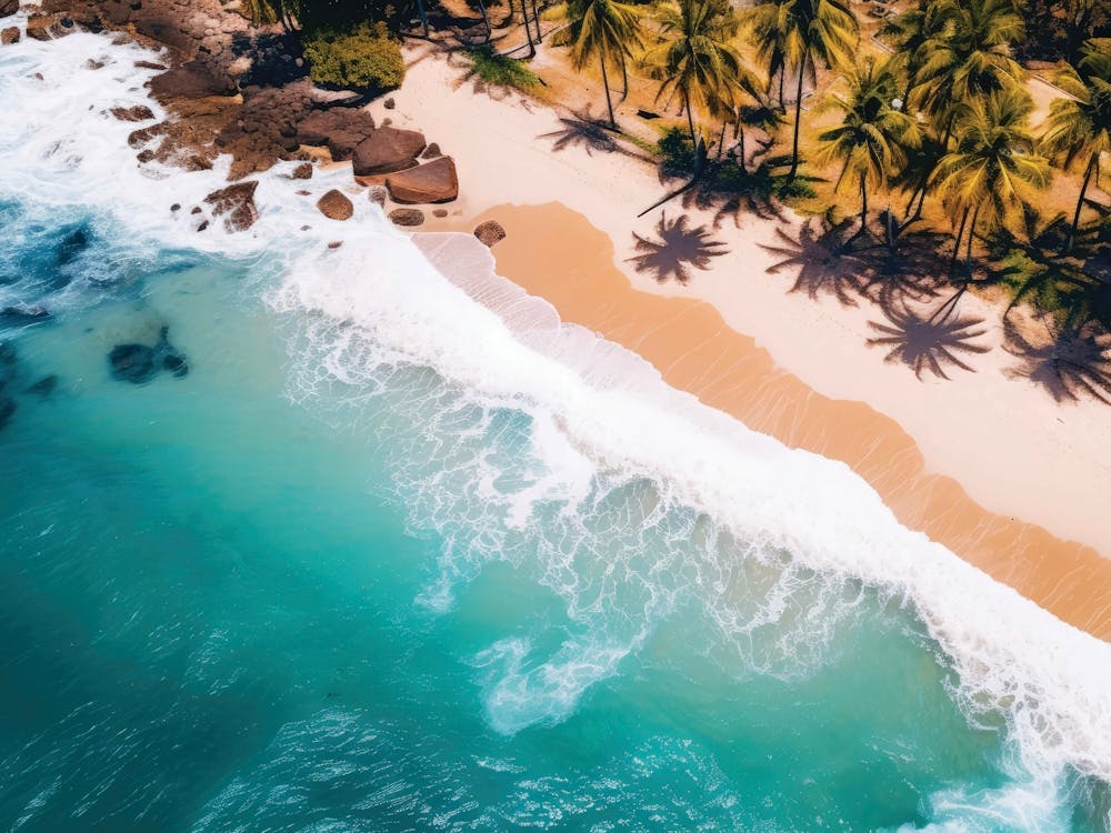 Aerial View Of A Tropical Beach 6