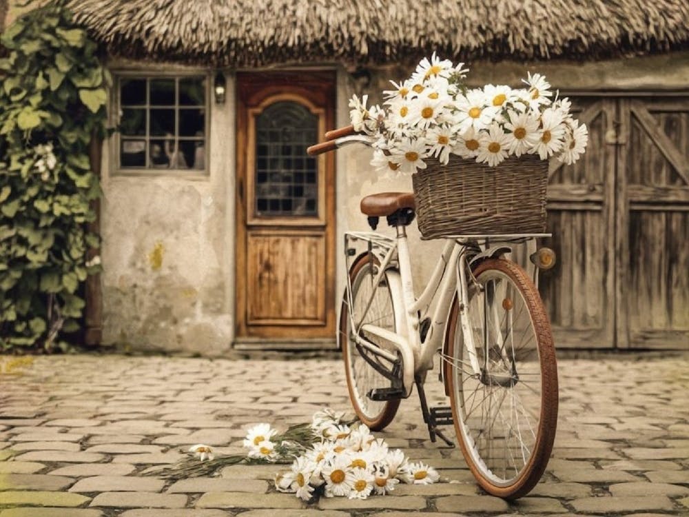Vintage Cottage Bike with Basket of Daisies