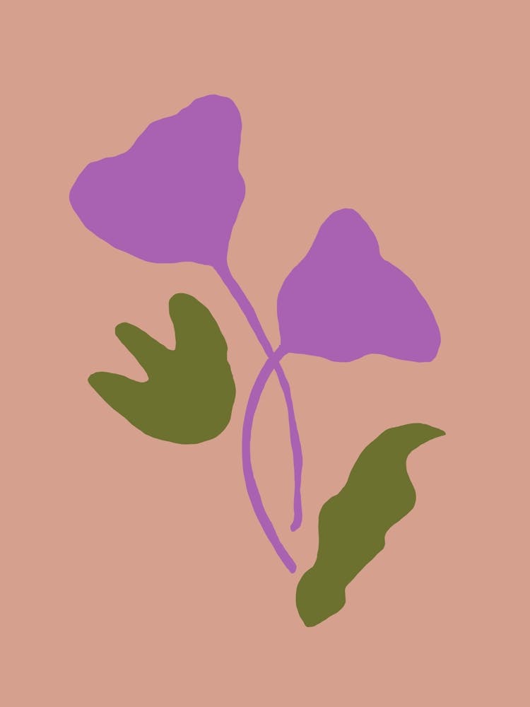 Fête des Couleurs Florales n° 13
