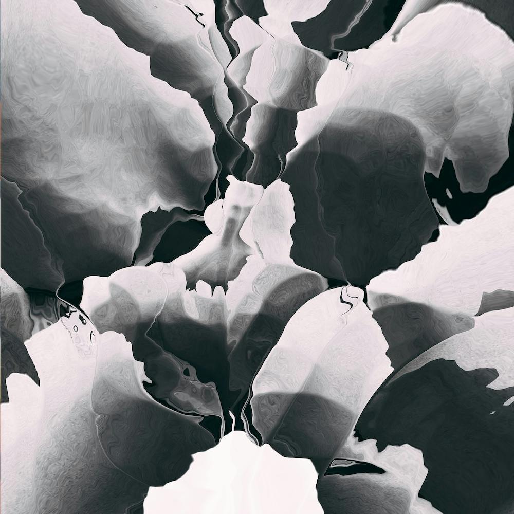 Blooming In Black And White