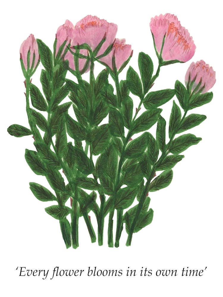 Every Flower Blooms In Its Own