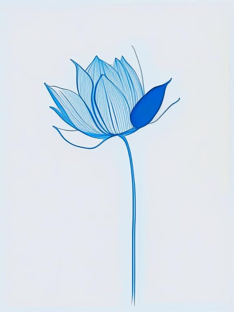 Blauer Lotus Minimale Strichzeichnung 1
