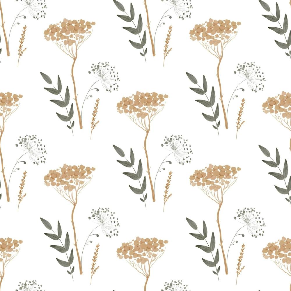 Yarrow on white Background