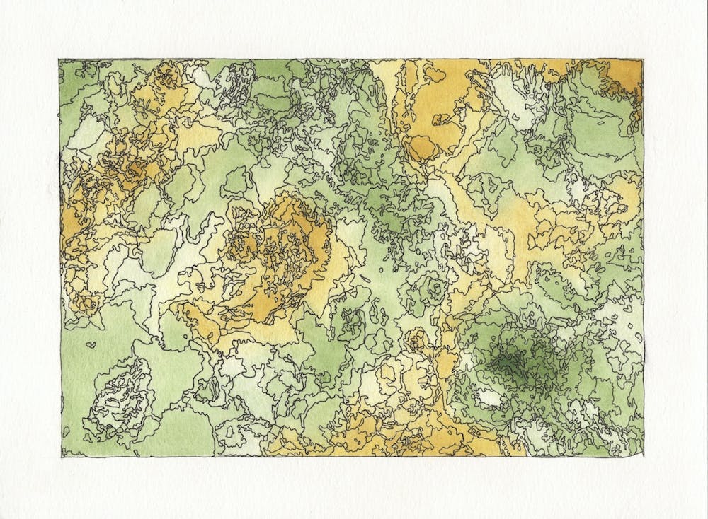 Watercolor Forest Wonderland