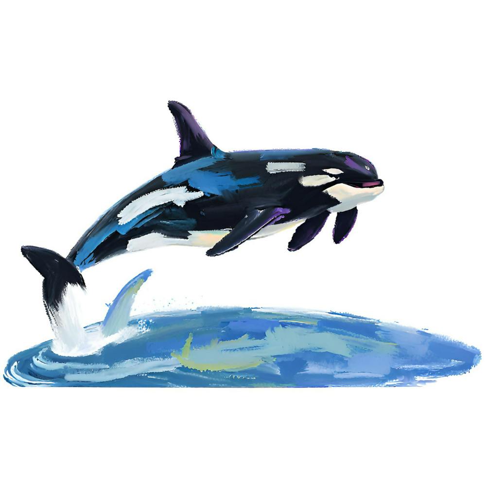 Orca Whale 07