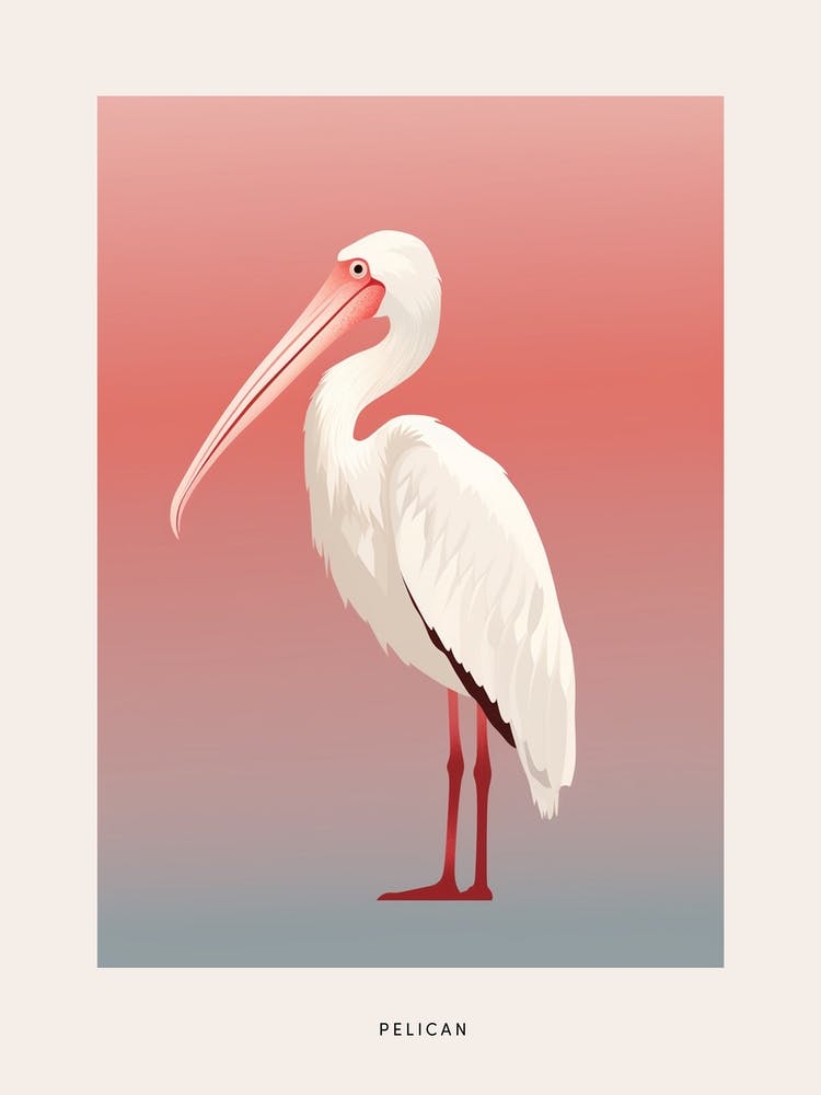Minimalist Pelican 1 Bird Poster